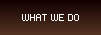Ned Forde What We Do