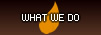 Ned Forde What We Do