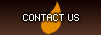 Ned Forde Contact Us